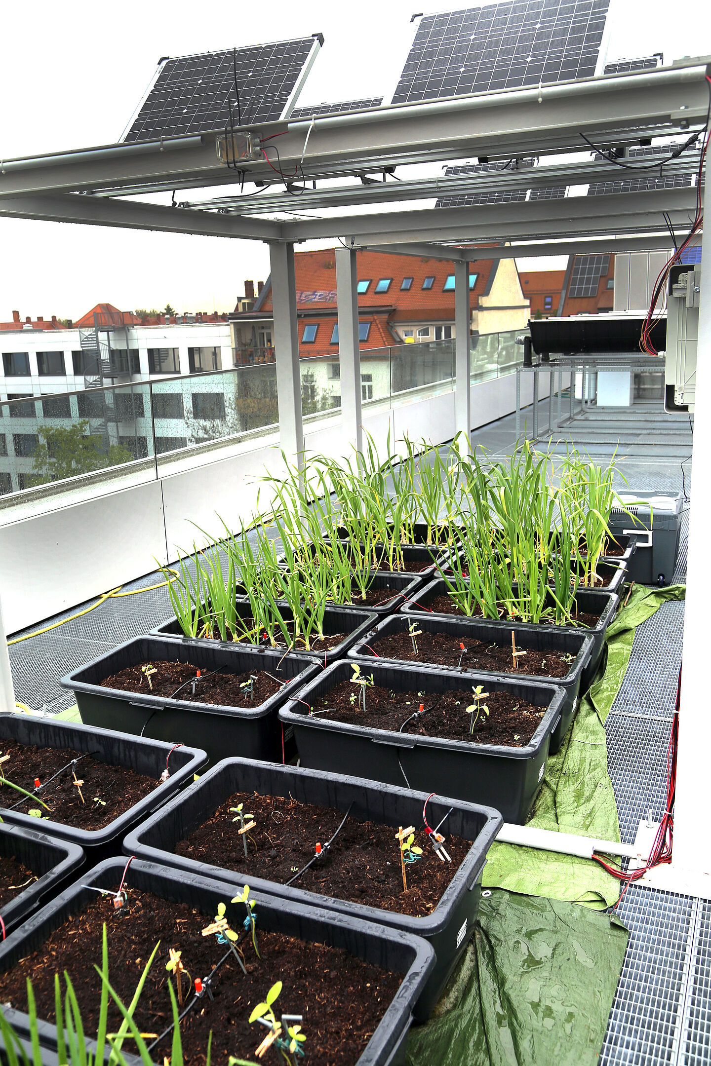 Agri-Photovoltaik