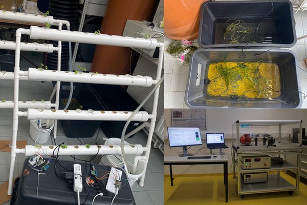 Fotocollage linkes Bild mit weißen Röhren und Pflanzen, die aus Löchern schauen, rechtes Bild oben zwei Zuber mit Flüssigkeit, darunter das Bild ein Tisch mit Monitoren