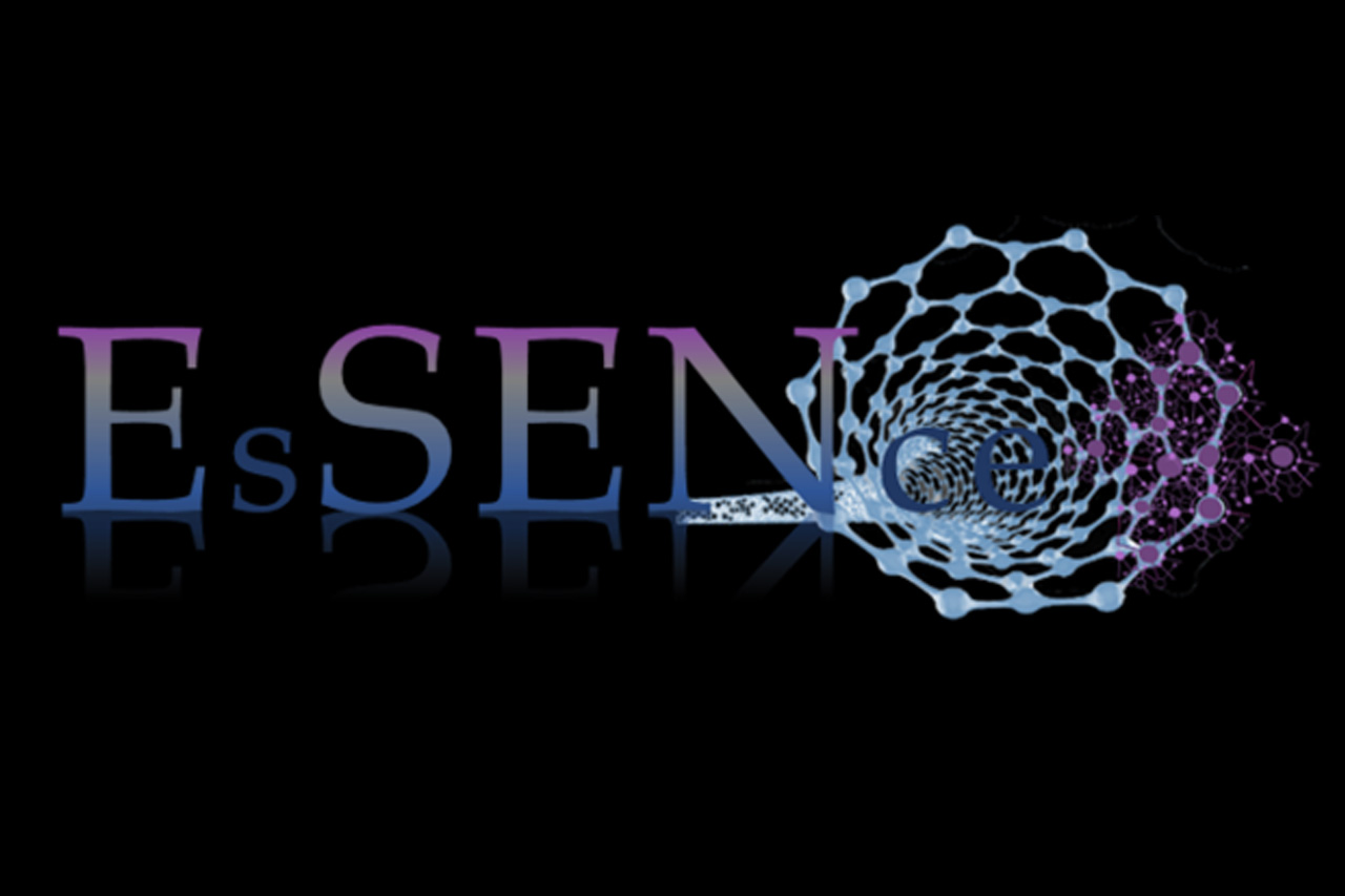 Logo Essence/Verlinkung führt zur Projektwebsite