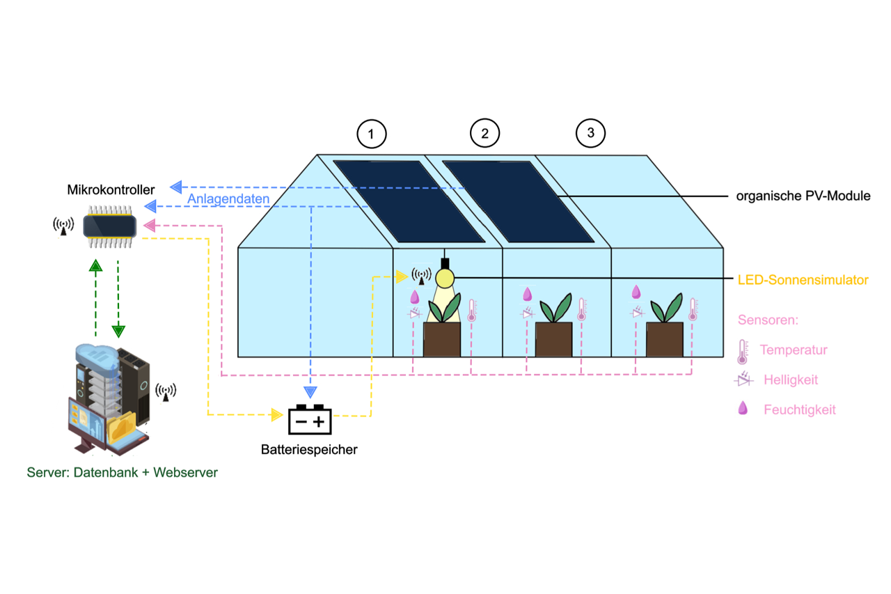 Grafik zum Versuchsaufbau für Projekt, Haus mit Pflanzen und Bewässerung