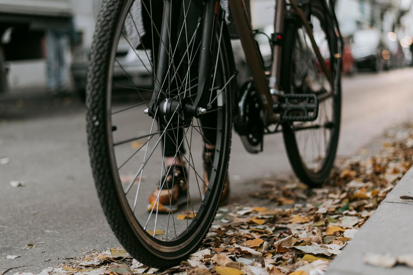 Bicycle tires on asphalt covered with colorful autumn leaves